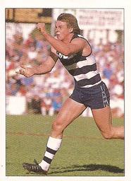 1990 Select AFL Stickers #109 Paul Couch Front